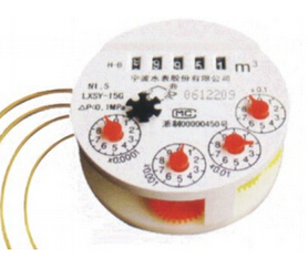 ����Զ��ϵͳ